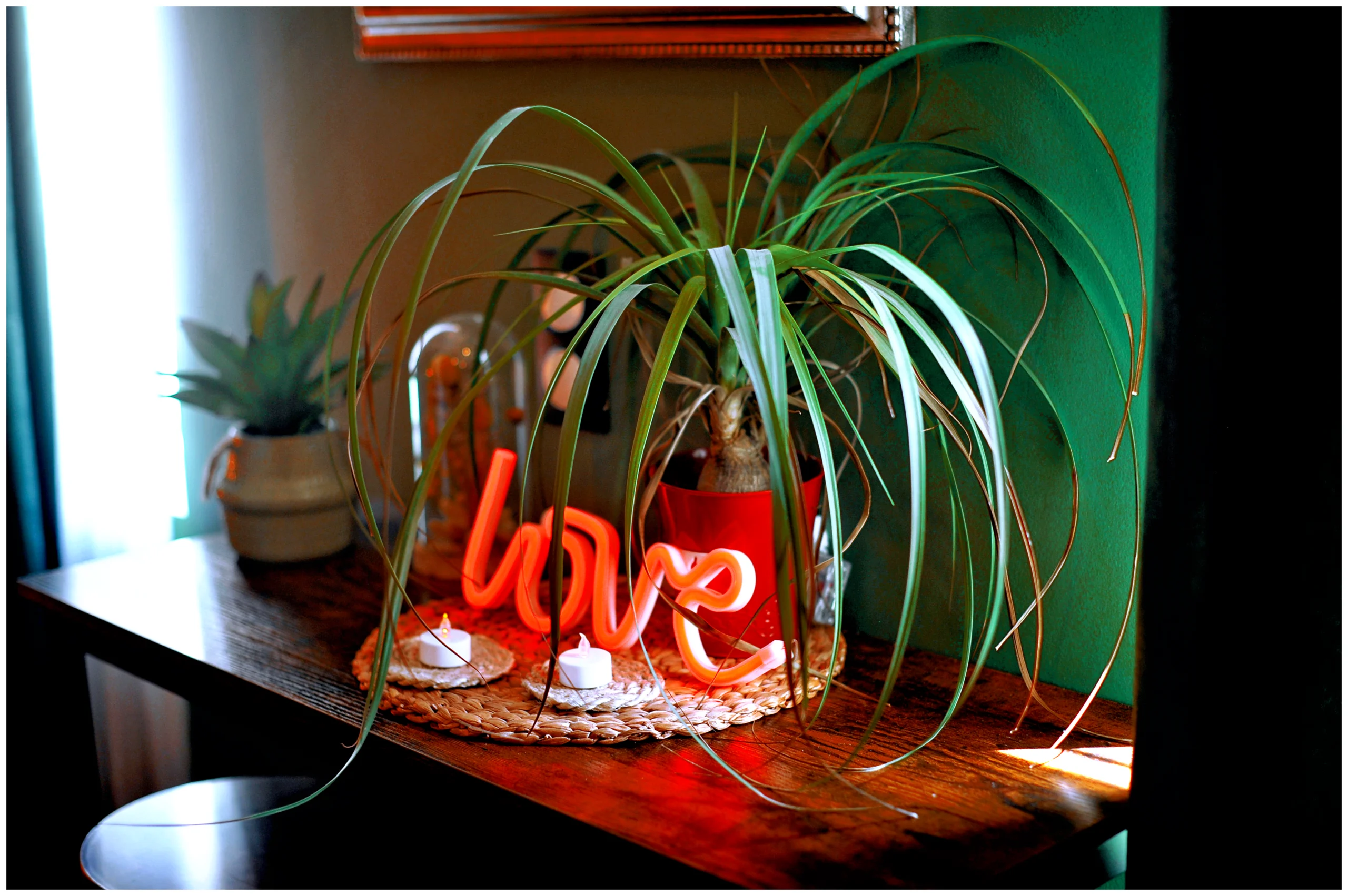 Love room romantique à thème jungle à Evreux avec lit king size, lit à baldaquin, papier peint exotique, écran géant, jacuzzi, plantes, décoration sur-mesure, réservation Airbnb et Booking.
