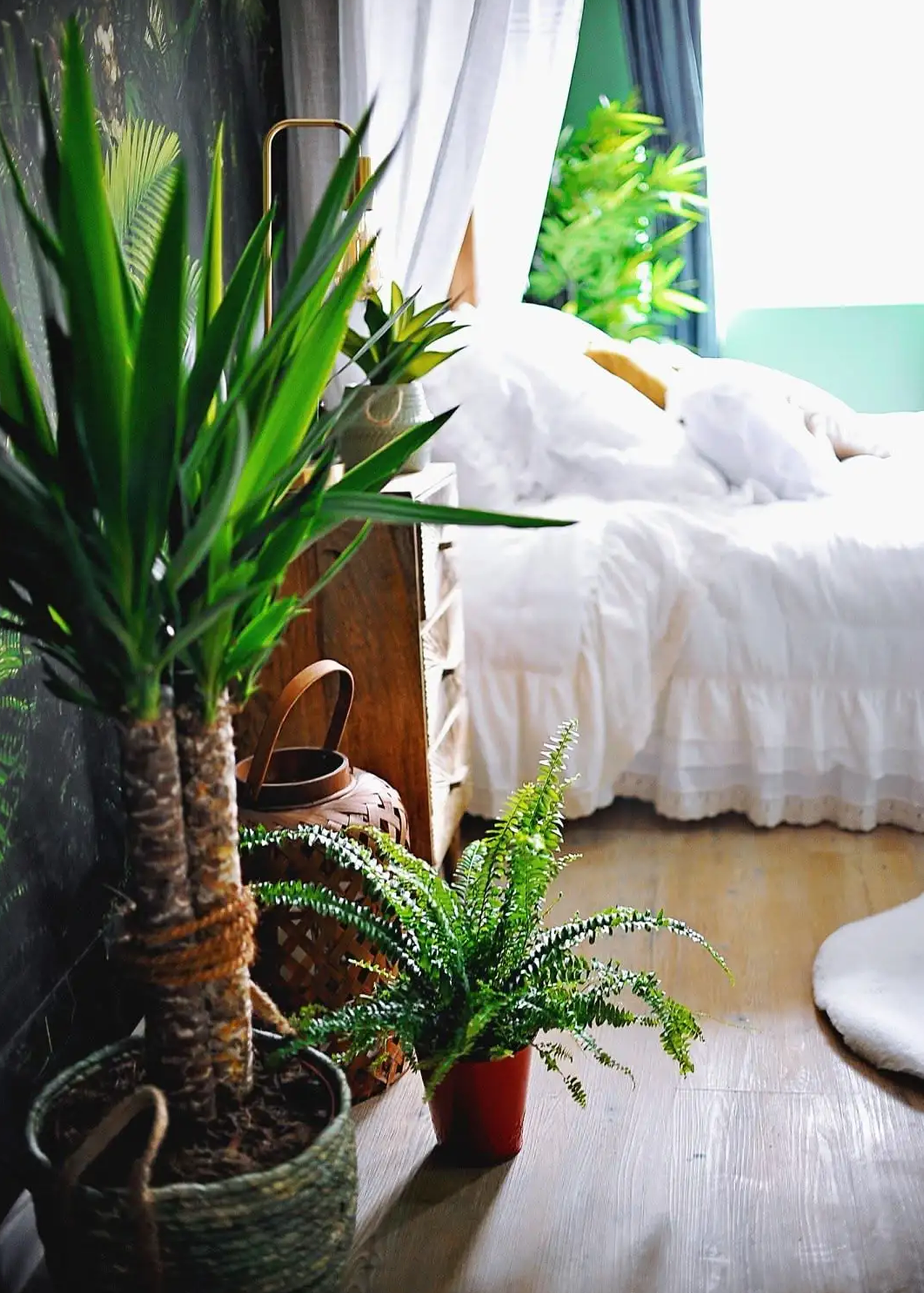 Love room romantique à thème jungle avec lit king size, lit à baldaquin, papier peint exotique, écran géant, jacuzzi, plantes, décoration sur-mesure, réservation Airbnb et Booking.
